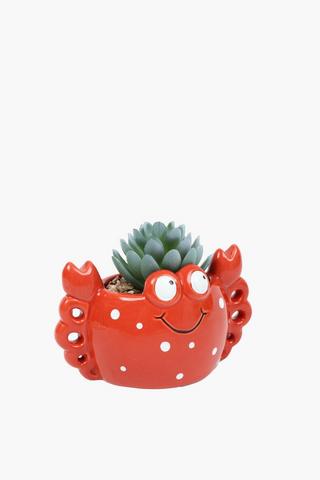 Agave In Crab Pot, 15x11cm