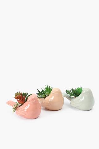 Assorted Succulents In Bird Pot, 14.5x7.5cm