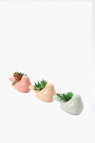Assorted Succulents In Bird Pot, 14.5x7.5cm