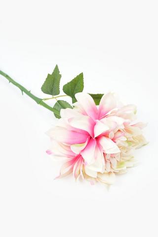 Charlotte Peony Single Stem, 52cm