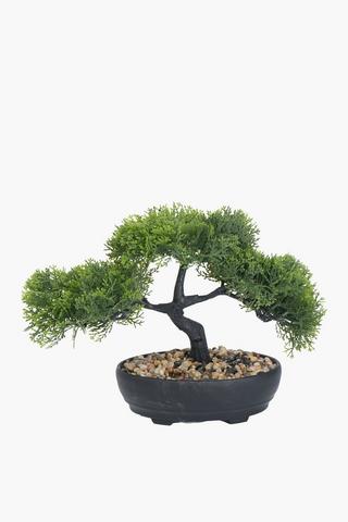 Bonsai In Oval Pot, 22x34cm
