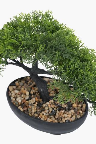 Bonsai In Oval Pot, 22x34cm