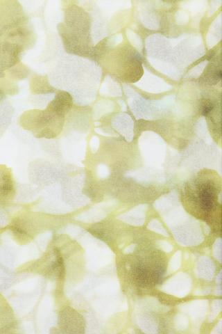 Paradiso Tissue Paper