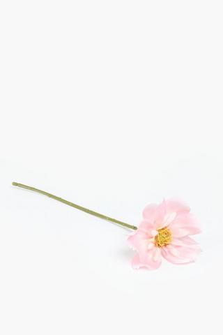 Queen Cosmos Single Stem, 38cm
