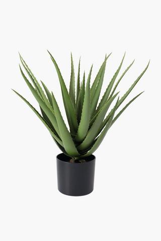 Aloe Vera In Plastic Pot, 40x50cm