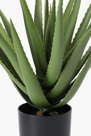 Aloe Vera In Plastic Pot, 40x50cm