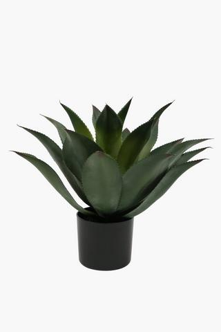 Agave In Plastic Pot, 45x50cm