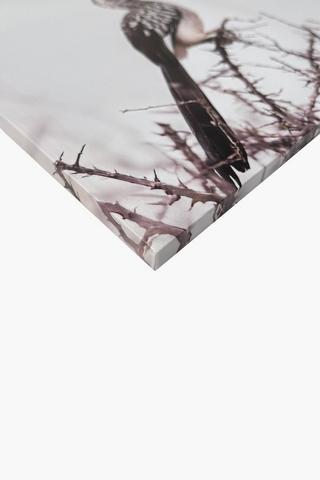 Printed Hornbill Canvas, 40x60cm