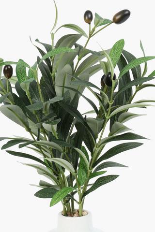 Olive Tree In Tiered Vase, 8x47.5cm