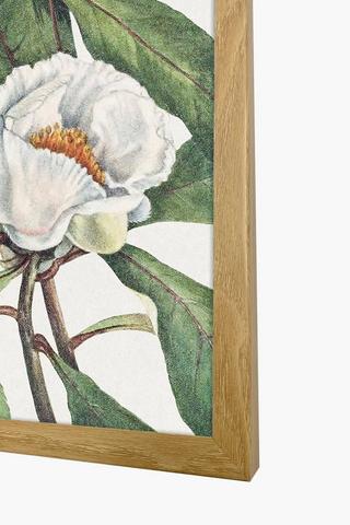 Framed Flower Canvas, 60x90cm