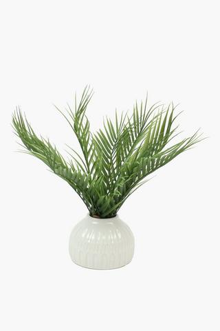 Palm In Etched Dome Pot, 17x46cm