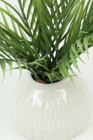 Palm In Etched Dome Pot, 17x46cm