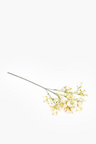 Gypsophila Single Stem, 50cm