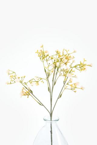 Gypsophila Single Stem, 50cm
