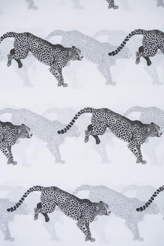 Karasimbi Leopard Tissue Paper