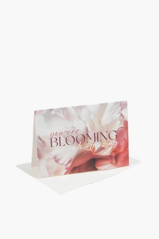 Aures Mini Gift Card