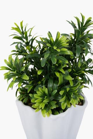 Greenery In Frill Pot, 8x31cm