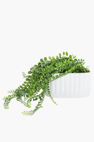 Vine In Oval Pot, 21x20cm