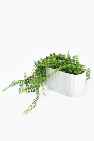 Vine In Oval Pot, 21x20cm