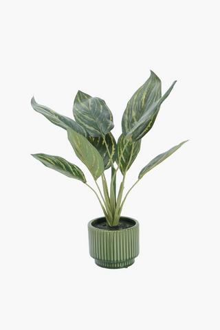 Varigated Leaf In Glaze Pot, 14x48cm