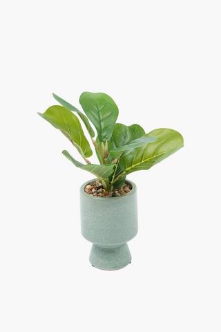 Leafy Plant In Footed Pot, 9x31cm