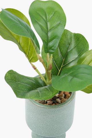 Leafy Plant In Footed Pot, 9x31cm