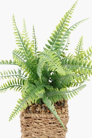 Fern In Square Woven Pot, 10.5x34cm
