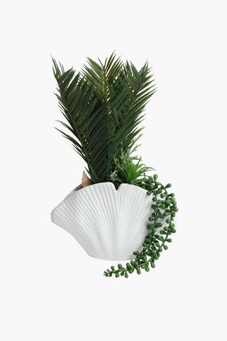 Multi Fern In Shell Pot, 21x30.5cm