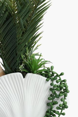 Multi Fern In Shell Pot, 21x30.5cm