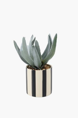 Agave In Stripe Black, 7.5x18cm