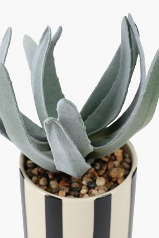 Agave In Stripe Black, 7.5x18cm