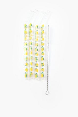 4 Pack Printed Glass Straws