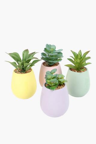 Assorted Agaves In Pastel Eggs, 8x15cm