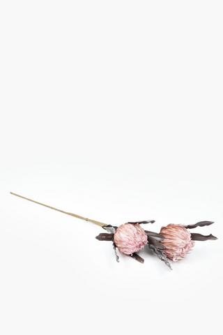 Foam 2 Protea Single Stem, 90cm