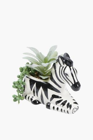 Agave In Zebra Pot,