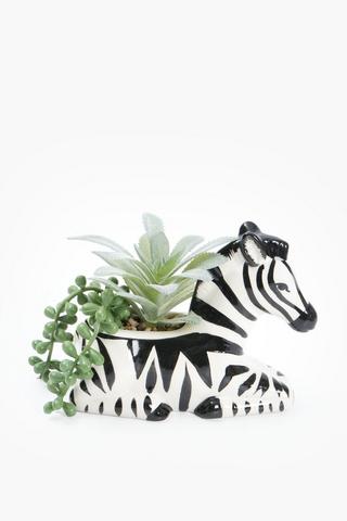 Agave In Zebra Pot,