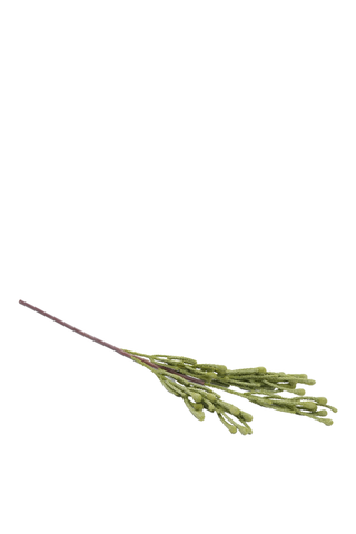 Fynbos Single Stem, 51cm