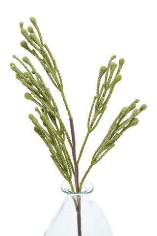 Fynbos Single Stem, 51cm