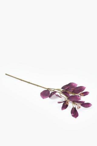 Eucalyptus Single Stem, 62cm