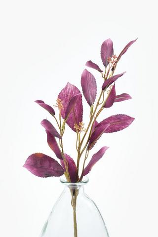 Eucalyptus Single Stem, 62cm