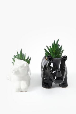 Assorted Agave In Wildlife Pot