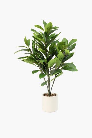 Potted Tree, 97cm