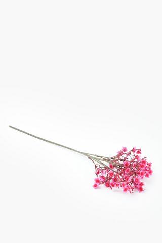 Gypsophila Single Stem, 50cm