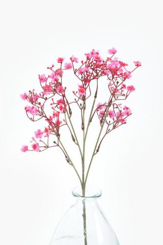 Gypsophila Single Stem, 50cm