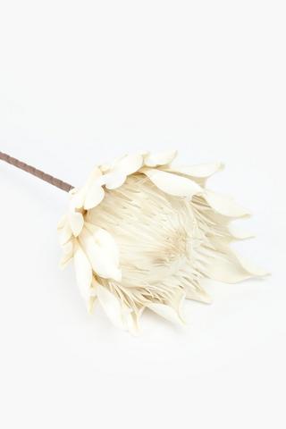 Foam Protea Single Stem 88cm