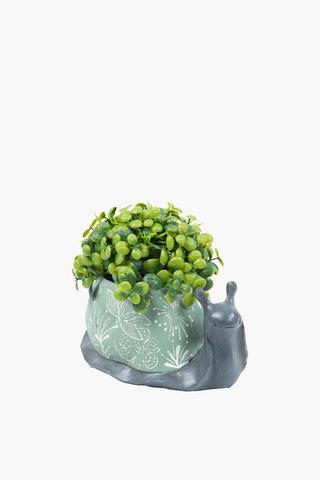 Greenery In Snail Pot, 14.5x11cm
