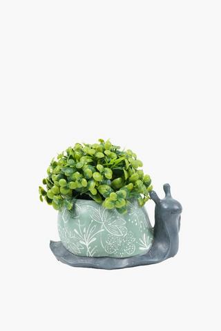Greenery In Snail Pot, 14.5x11cm