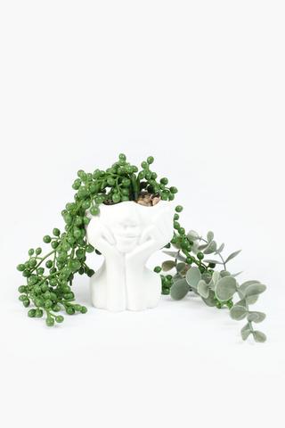 Donkey Tail In Portrait Pot, 8x15cm