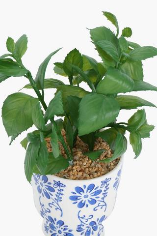 Greenery In Delft Pot, 12x33cm