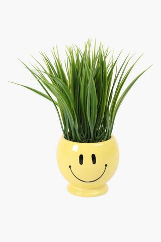 Grass In Smile Pot, 10x25cm